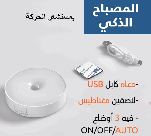 SMART LED