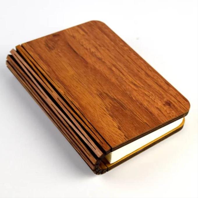 الكتاب المضيء